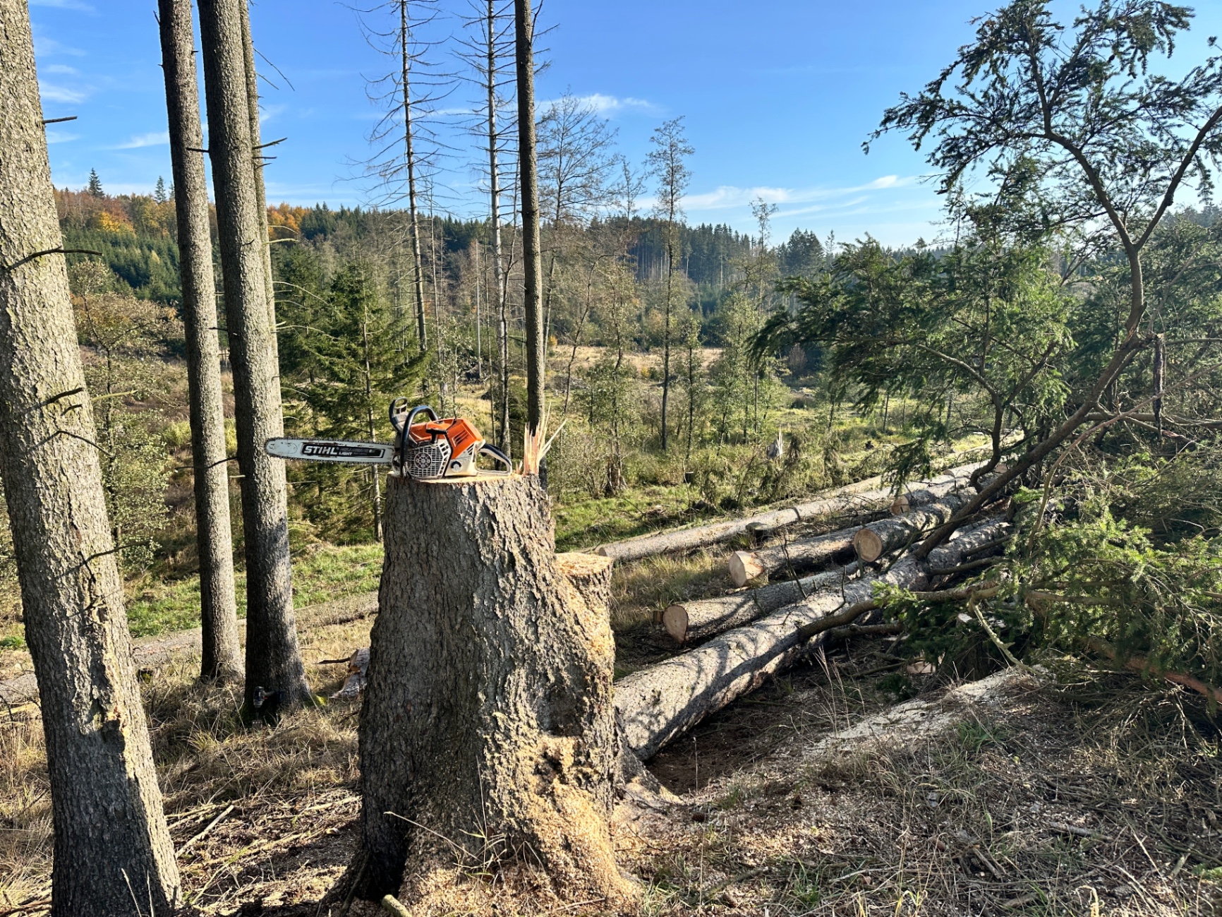Kácení stromů motorovou pilou Stihl